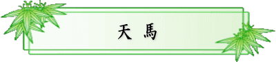 ܂񂿂 Vnǎ