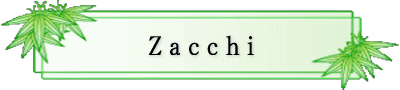 C^AH ZacchiJ